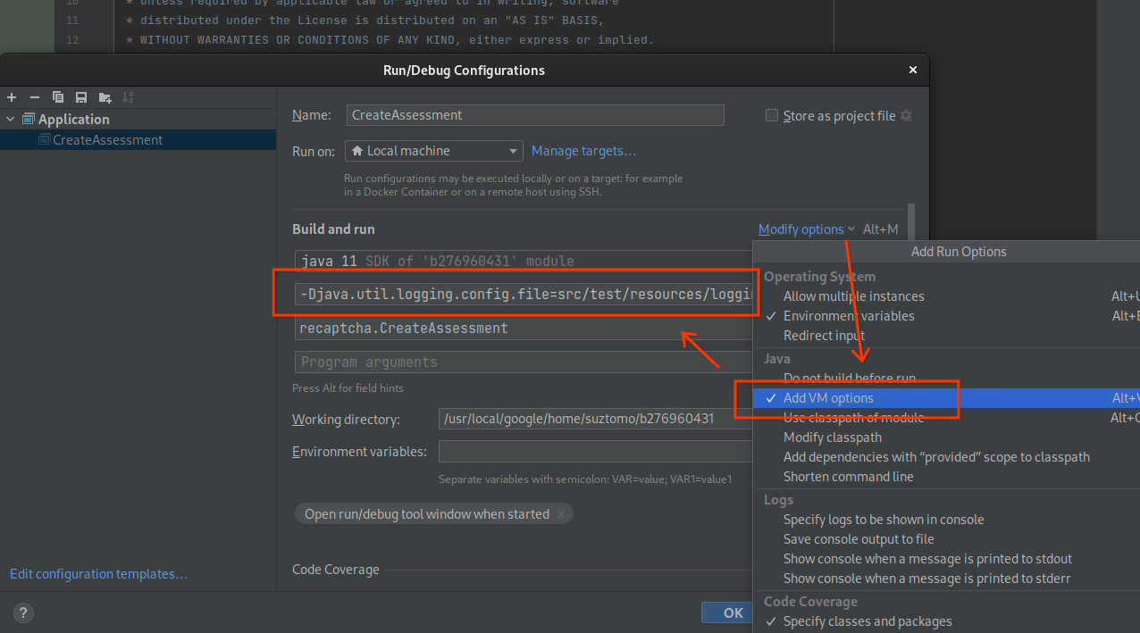 IntelliJ Run/Debug Configuration showing where to specify VM arguments